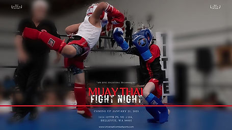 Muay thai fight night 3